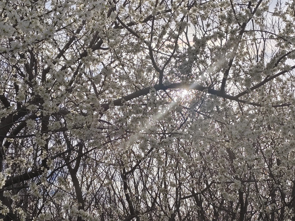 风景欣赏